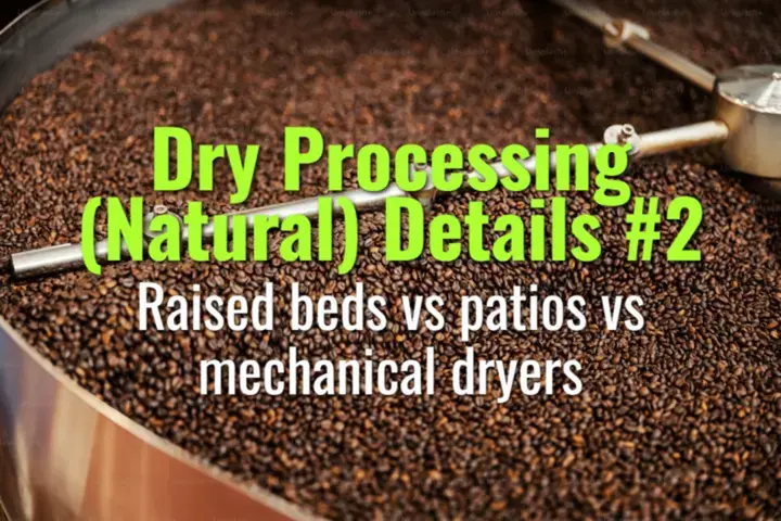Raised beds vs patios vs mechanical dryers