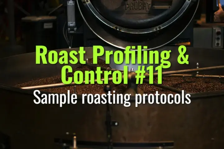Sample roasting protocols