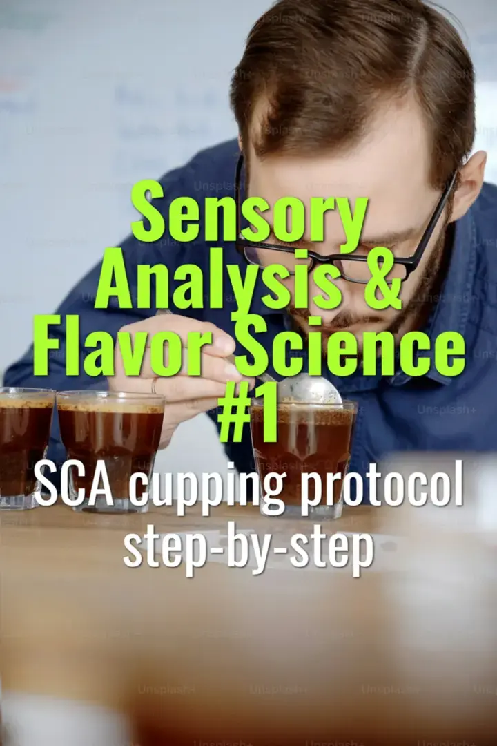 SCA cupping protocol step-by-step