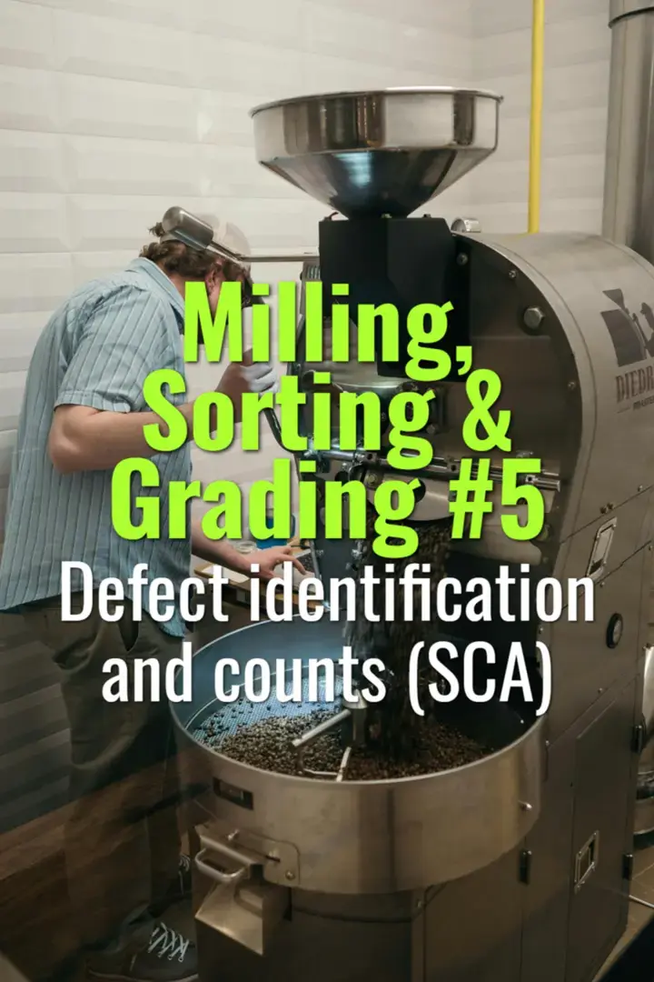 Defect identification and counts (SCA)