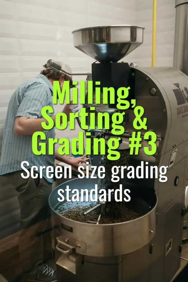 Screen size grading standards