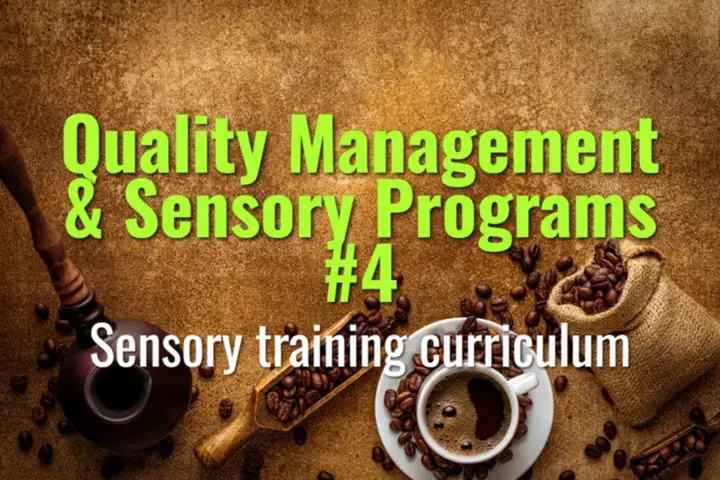 Sensory training curriculum
