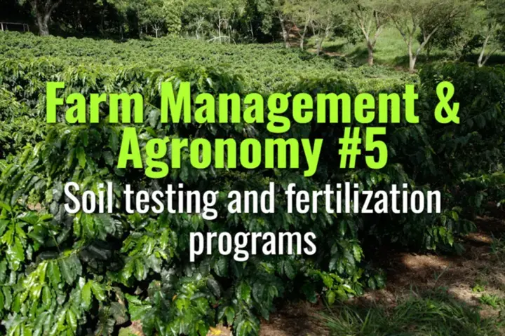 Soil testing and fertilization programs