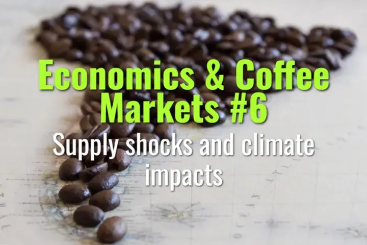 Supply shocks and climate impacts