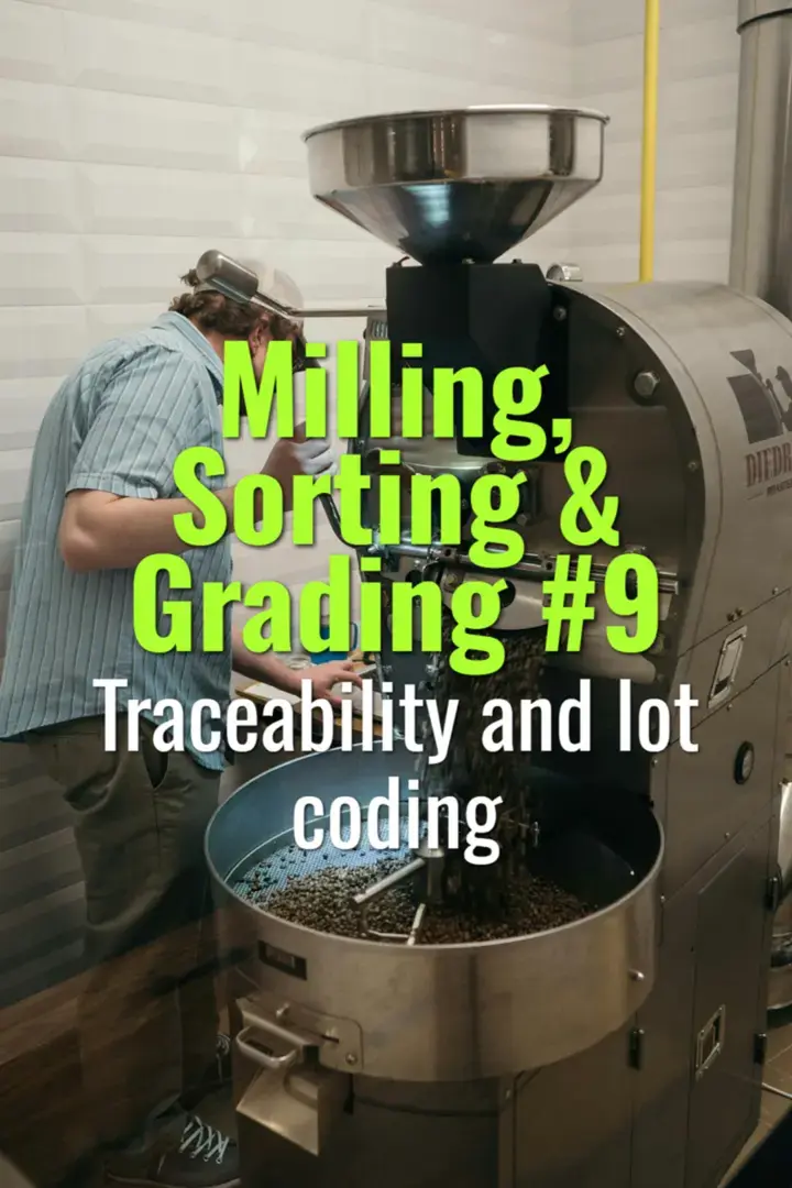 Traceability and lot coding