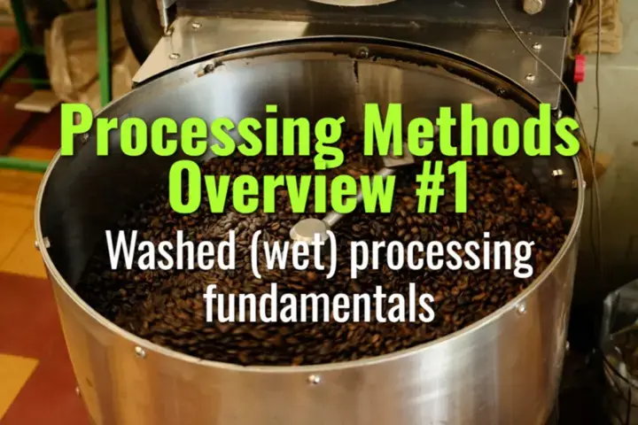 Washed (wet) processing fundamentals
