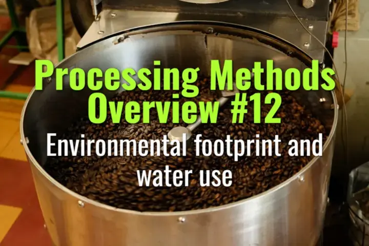 Environmental footprint and water use