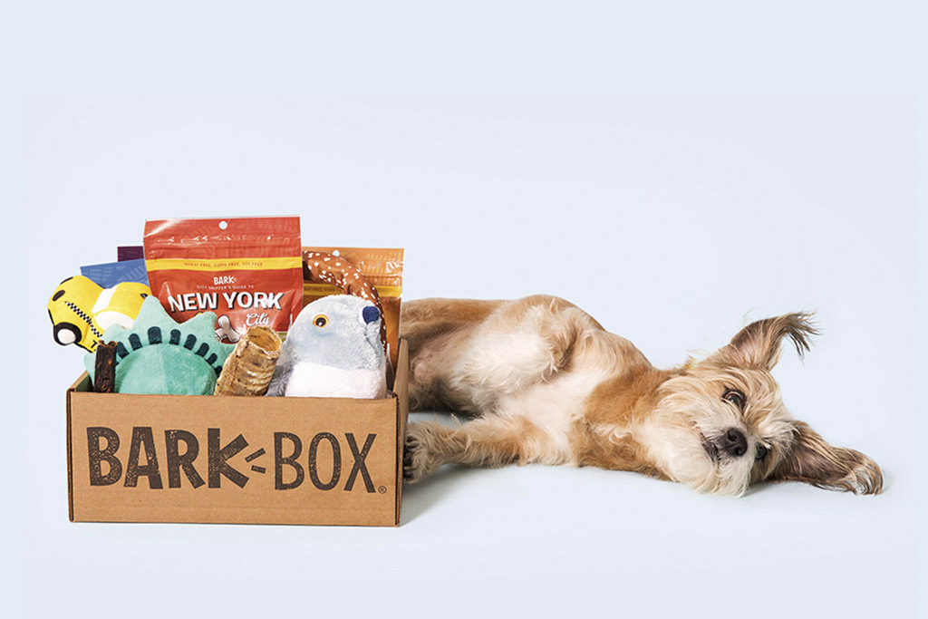 bark-box-dog-treats-and-toys-subscription