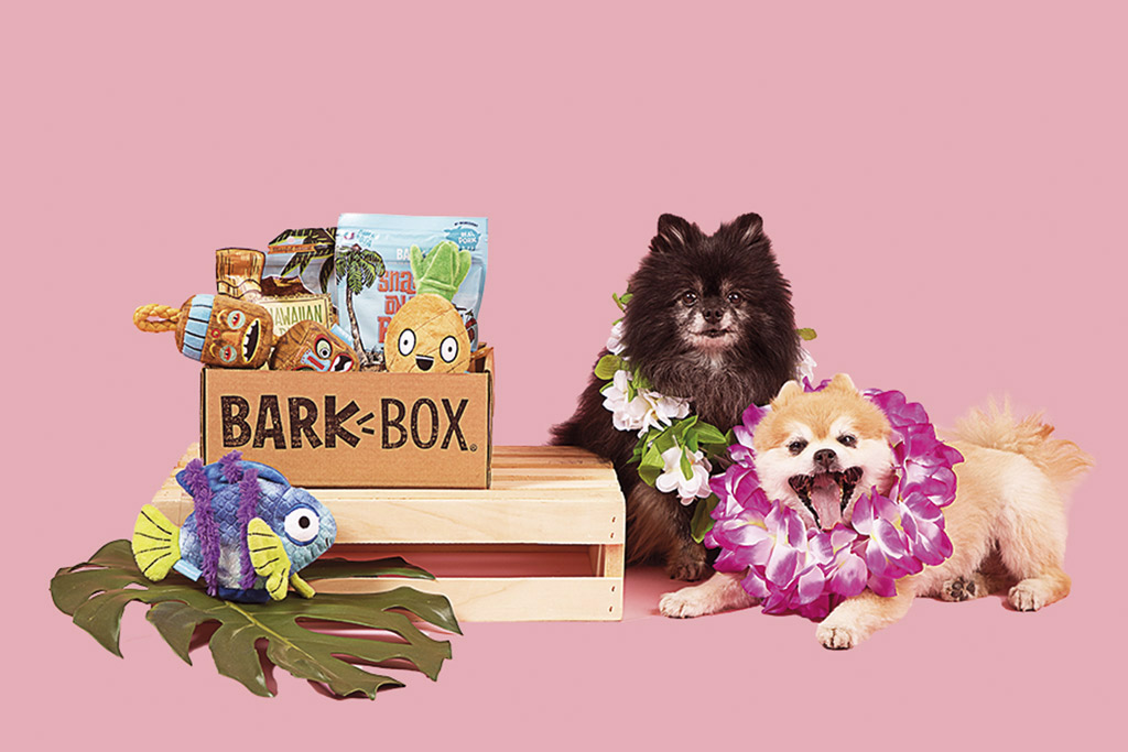 bark-box-dog-treats-and-toys