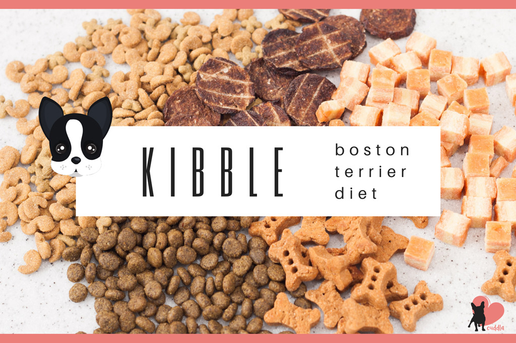 boston-terrier-dry-diet-kibble