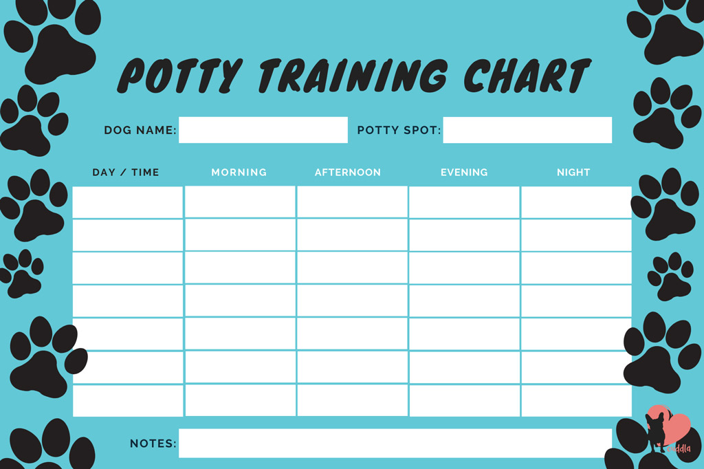 boston-terrier-potty-training-schedule-chart