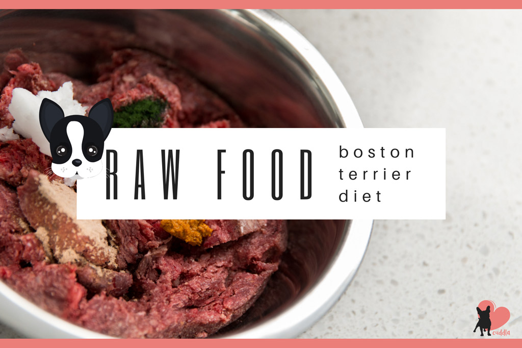 Boston Terriers Raw Diet The Ultimate Guide to Raw Feeding