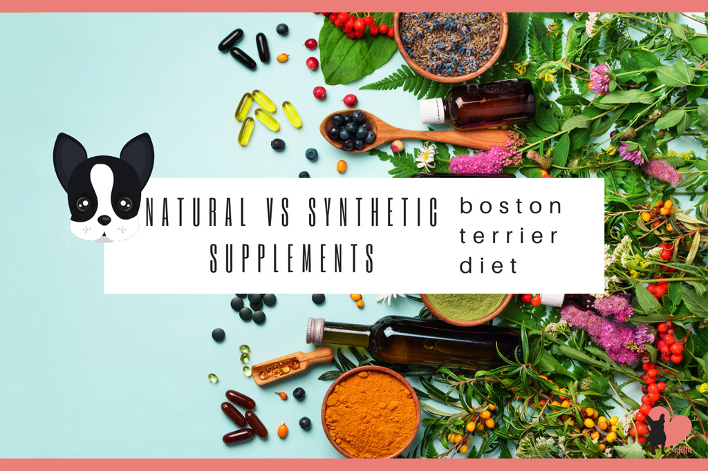 boston-terrier-supplements-natural-vs-synthetic