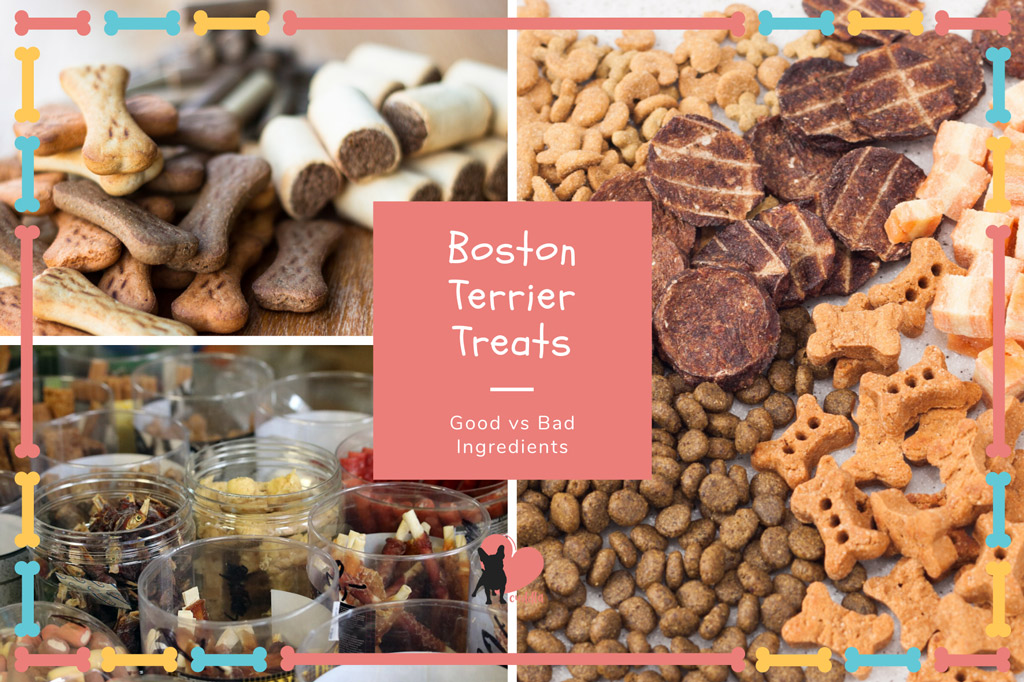 boston-terrier-treats-good-vs-bad-ingredients