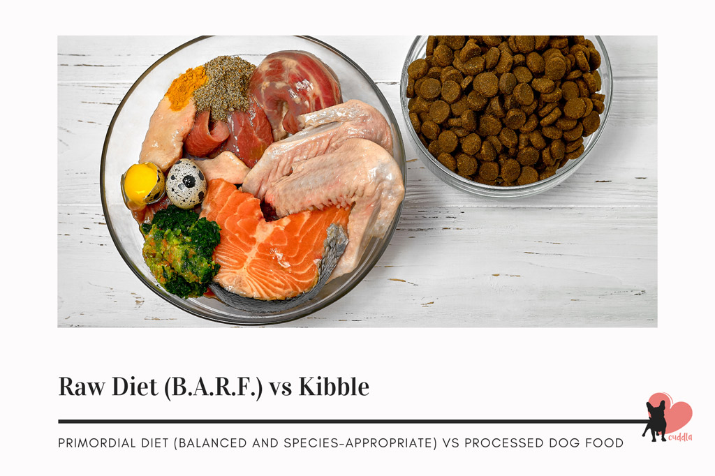 boston-terriers-diet-raw-vs-kibble