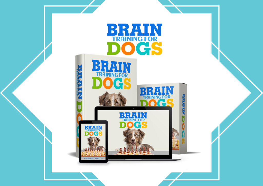 brain-training-for-dogs