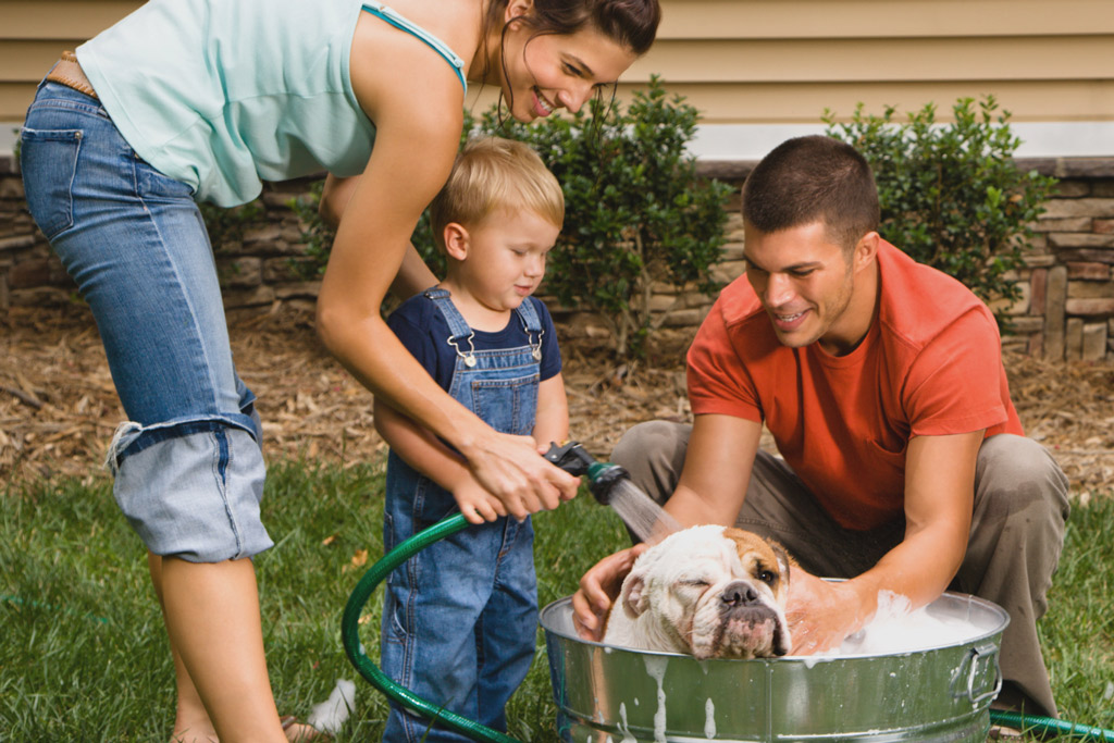 dog-bathing-in-garden-1