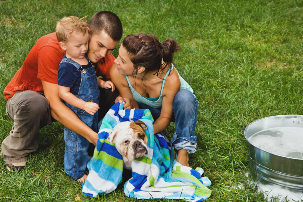 dog-bathing-in-garden-2