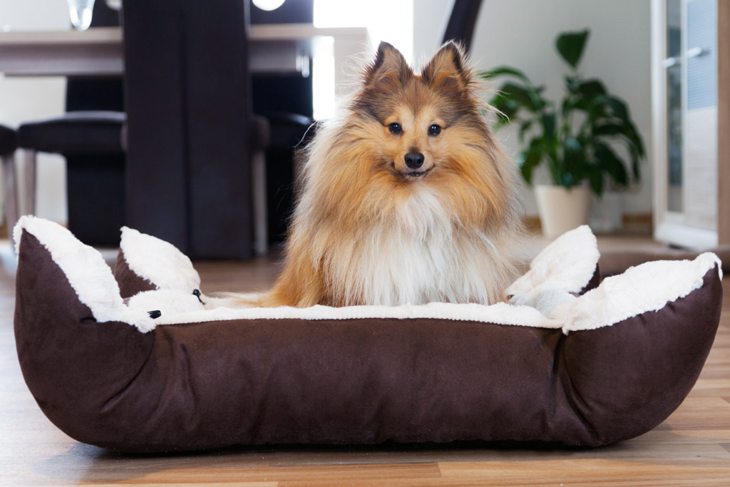 dog-bed-material