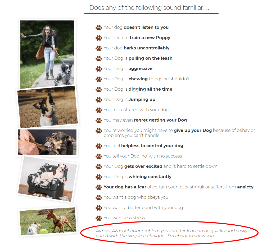 dog-behaviour-problems-list