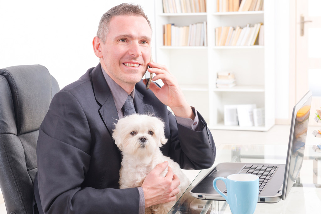 dog-benefits-at-work-5