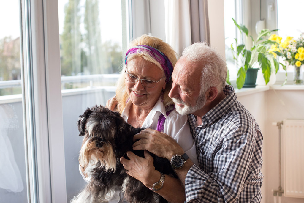 dog-benefits-for-seniors-1