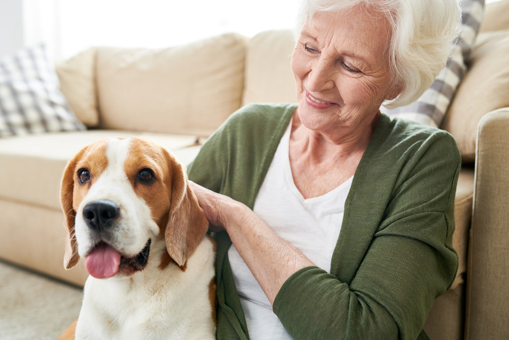 dog-benefits-for-seniors-3