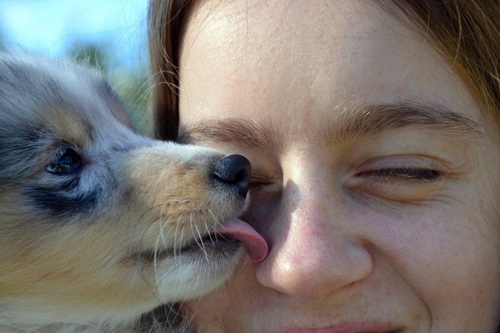 dog-body-language-for-affection