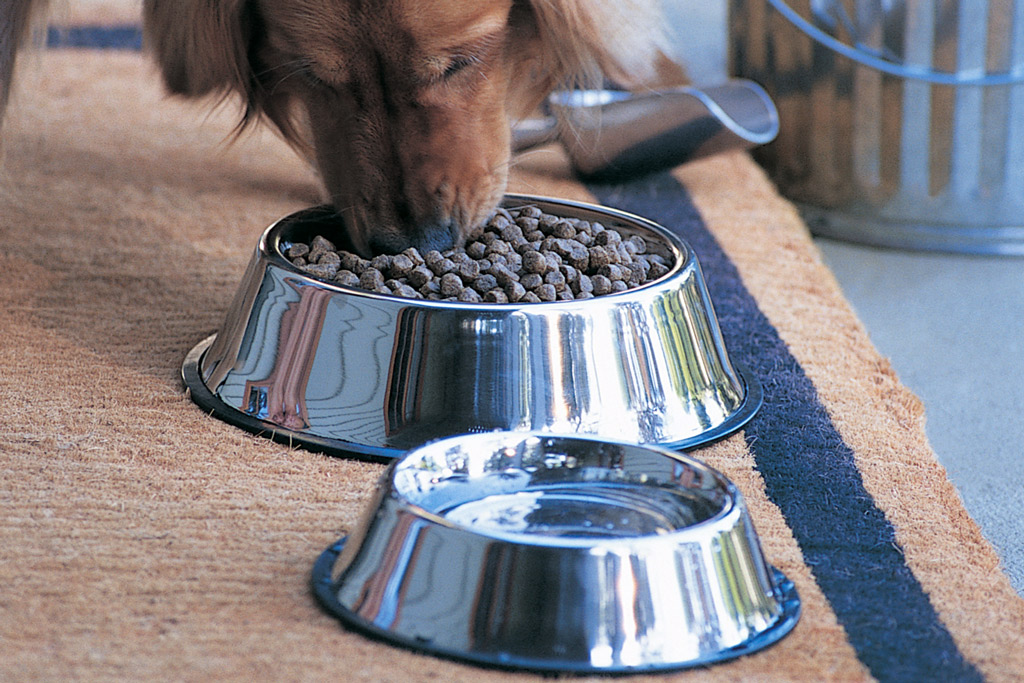 dog-bowls