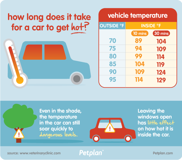 dog-car-dangers-hot-temperature