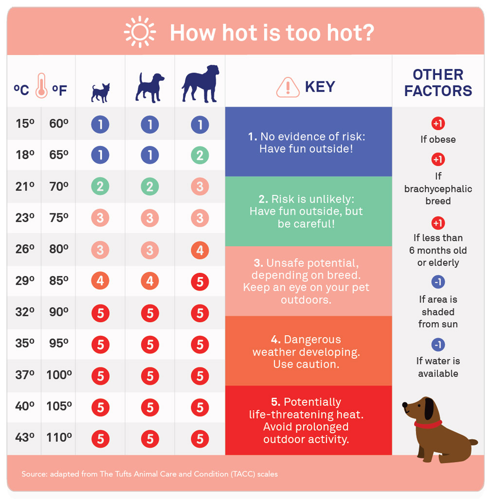 dog-care-hot-temperatura-chart