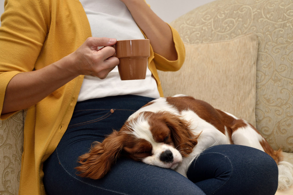 dog-cuddles-body-language