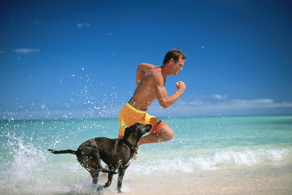 dog-energy-levels-high-activity-breeds