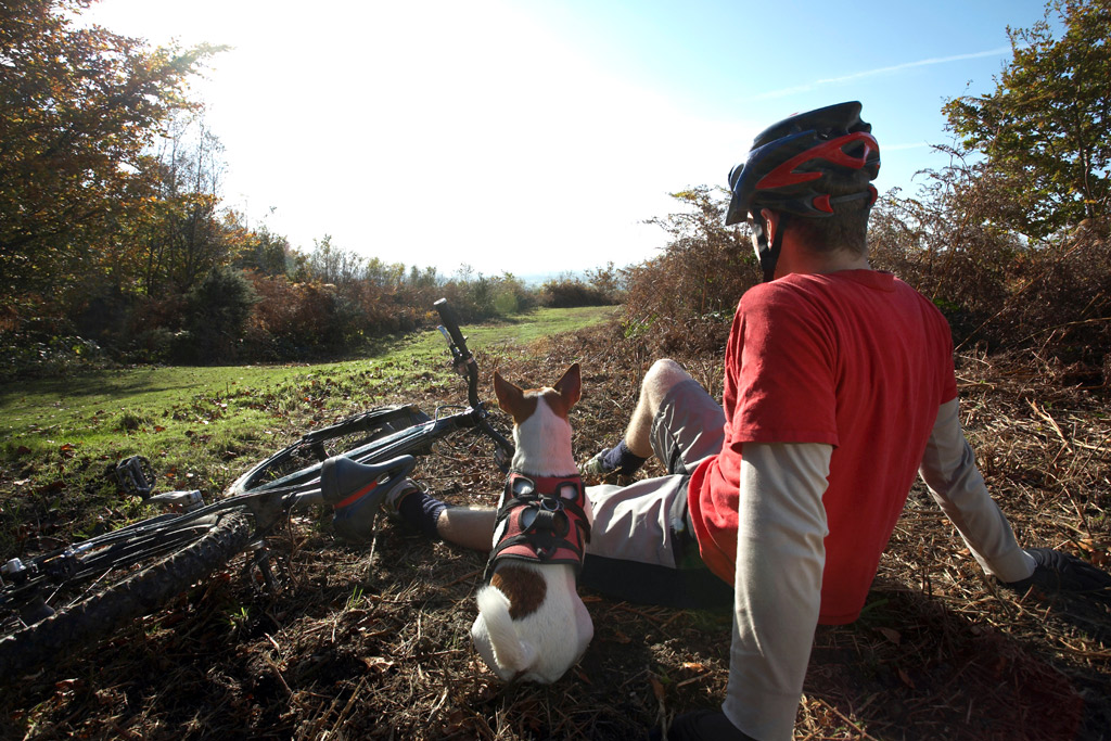 dog-exercise-cycling