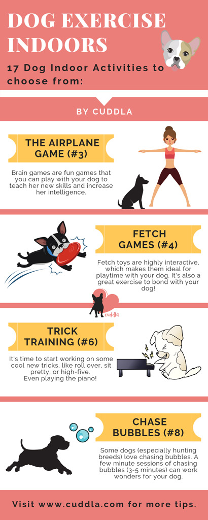 dog-exercise-indoors-list