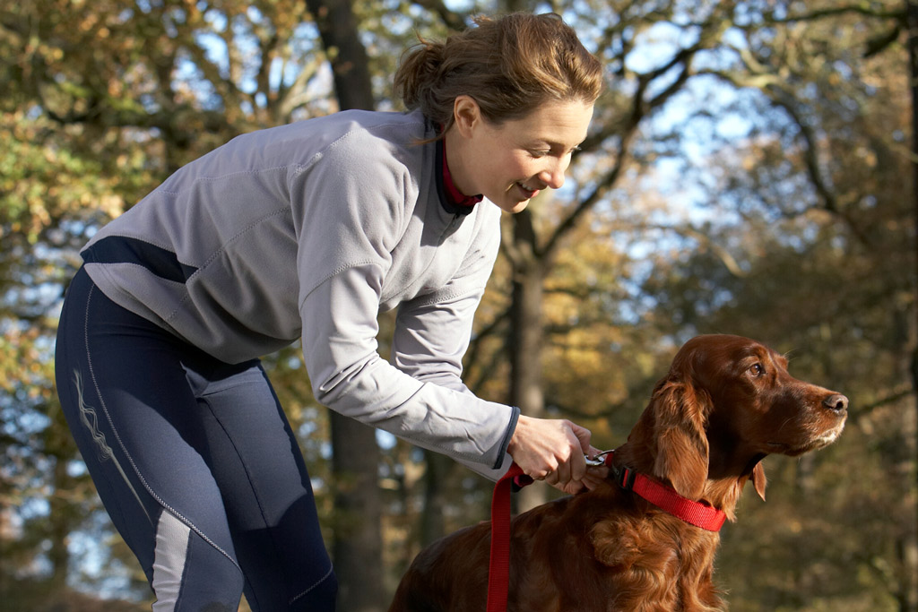 dog-exercise-off-leash