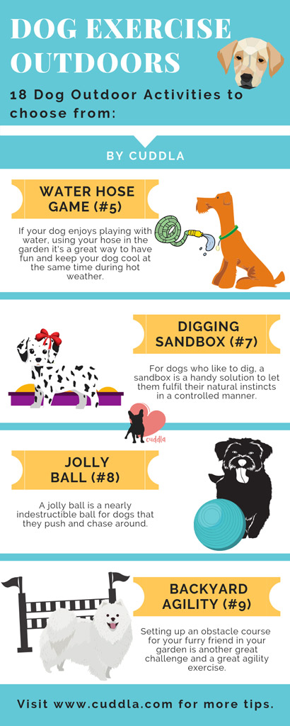 dog-exercise-outdoors-list