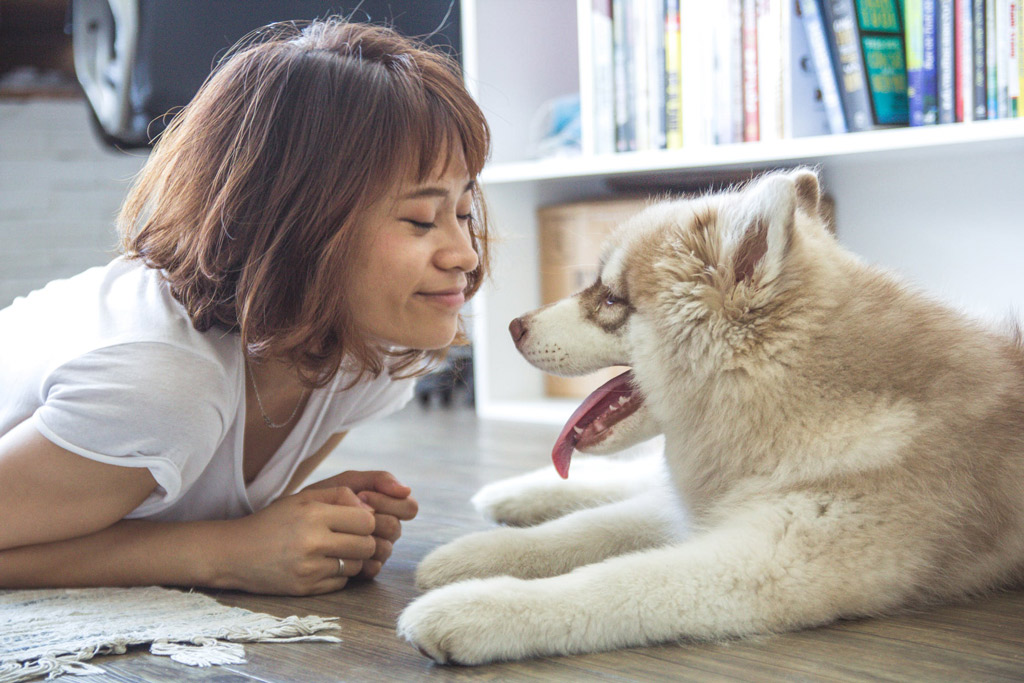 dog-eye-contact-body-language