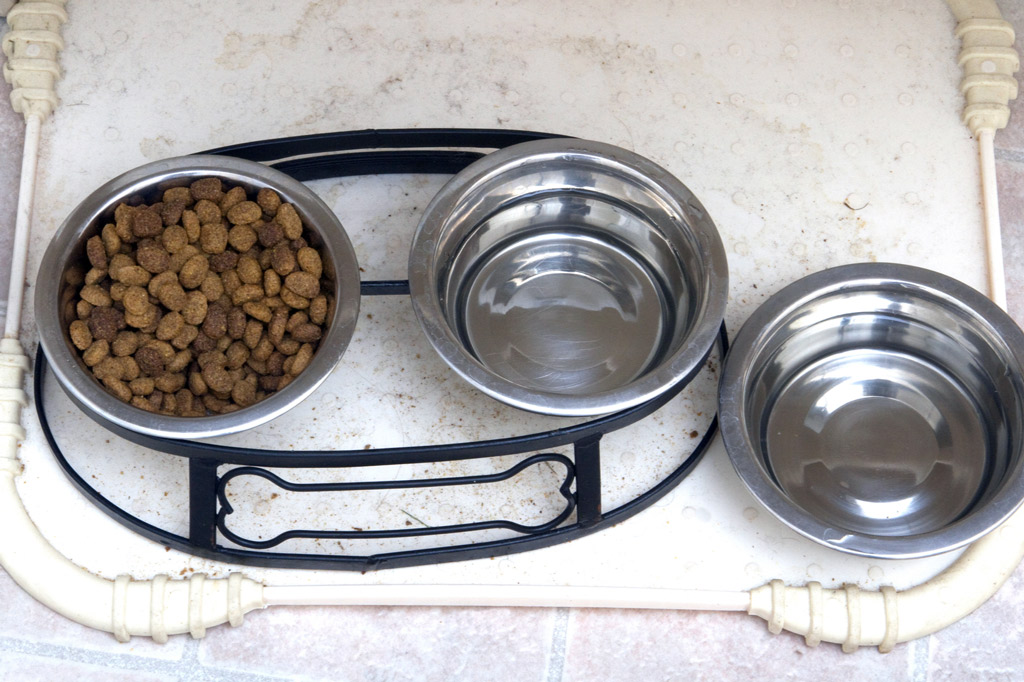 dog-feeder-solution