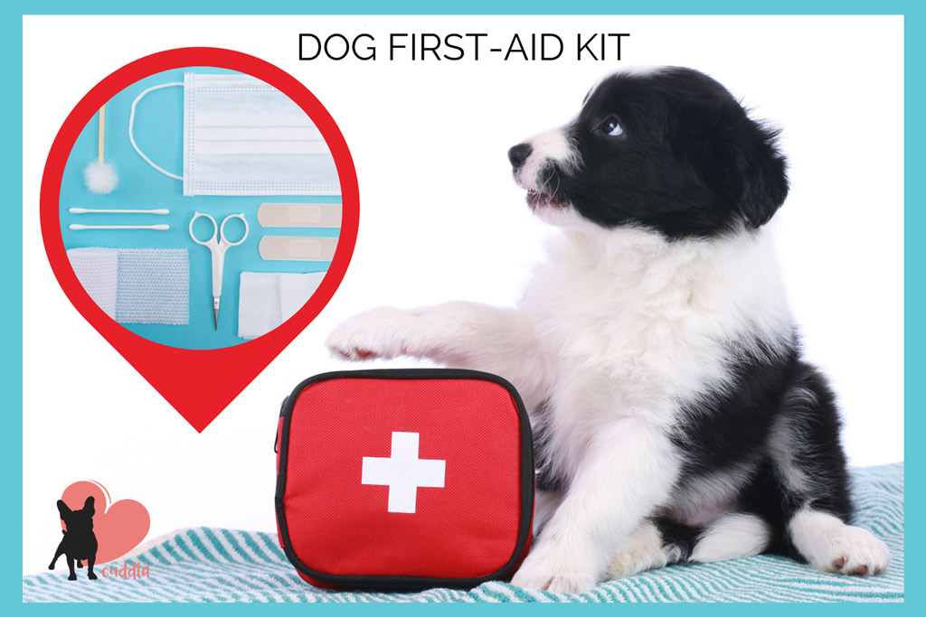 dog-first-aid-kit