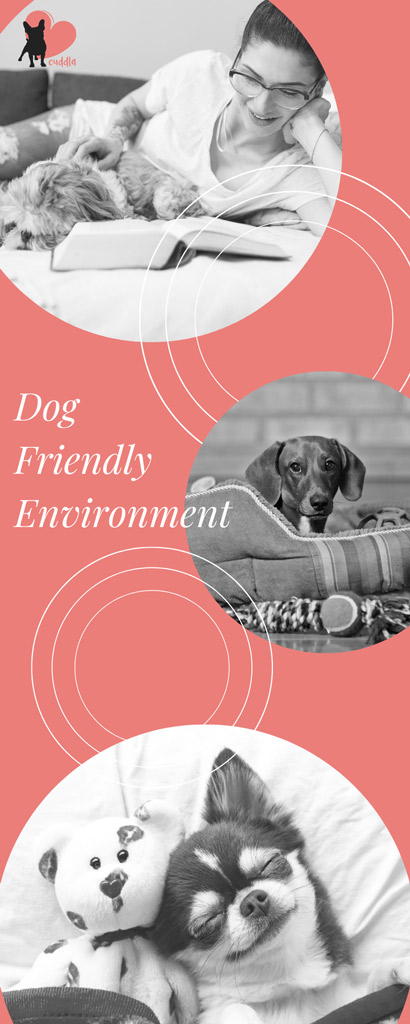 dog-friendly-environment-part2