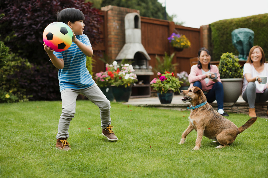 dog-friendly-garden-design