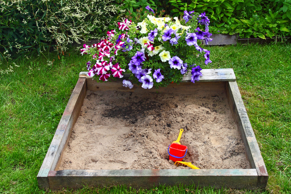 dog-friendly-garden-sandbox