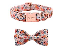 dog-gift-ideas-bow-tie-collar