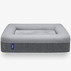 dog-gift-ideas-casper-mattress