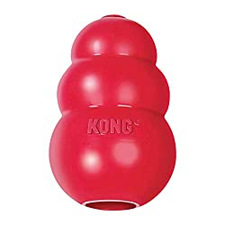 dog-gift-ideas-kong-dispenser-toy