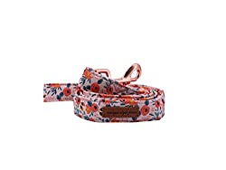 dog-gift-ideas-matching-leash