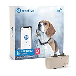 dog-gift-ideas-tractive-gps-tracker