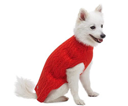 dog-gift-ideas-valentine-jumper