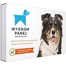 dog-gift-ideas-wisdom-pannel-dna-test